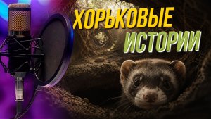 Тайная жизнь куньих | Подкаст на ОТС — 12 августа