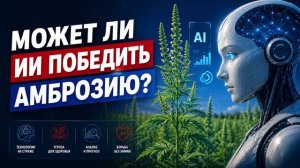 🤖 Может ли искусственный интеллект победить амброзию?