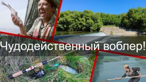 Чудодейственный воблер!
