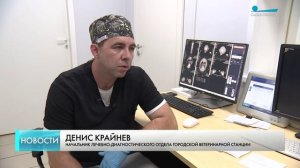 В Петербурге запустили уникальную систему диагностики заболеваний животных
