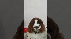 РАЗГОВОРНОЕ ВИДЕО 💘😋 
извините за долгое отсутствие 💥😅
скоро неделя влогов!?😚🙂😲