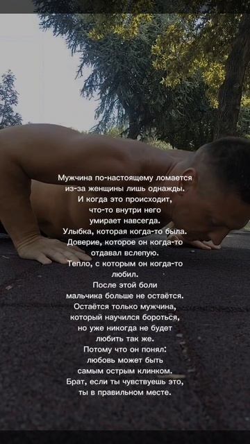 🐺🐺🐺