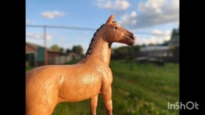вечерний фотосетик 💗🐎🌹🦩🥥