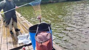 Карпуша