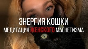 Медитация «Внутренняя кошка» — возвращение к женской силе и достоинству #медитация
