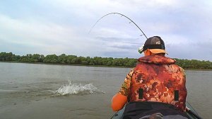 ВОДА КИПИТ ОТ РЫБЫ. ПОПАЛ НА ЛЕТНИЙ ЖОР. Рыбы так много, клюёт на каждом забросе.