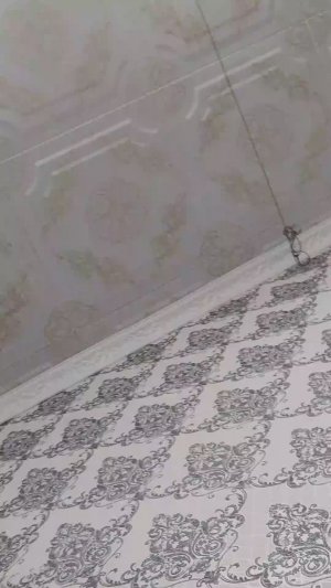 о см ога