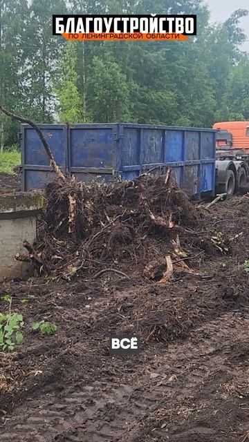 Вывоз больших корней после выкорчевки