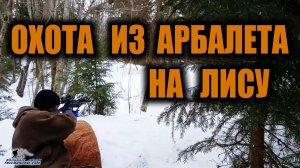 ОХОТА ИЗ АРБАЛЕТА НА ЛИСУ. Охота при выживании. Добыча еды в лесу.