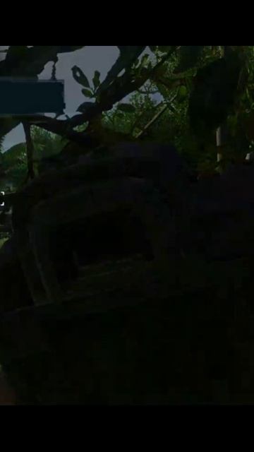 Far Cry 3 