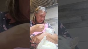 Мне нравится кормить кошку с рук