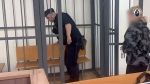 Женщину, столкнувшую с десятого этажа трехлетнюю дочь, арестовали, сообщили в подмосковном главке СК