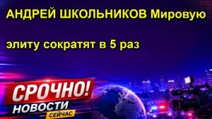 АНДРЕЙ ШКОЛЬНИКОВ Мировую элиту сократят в 5 раз