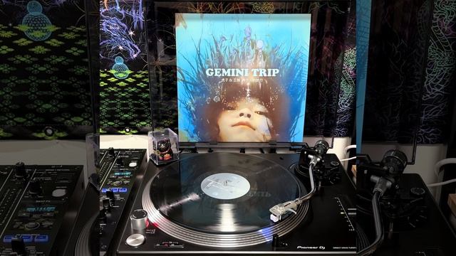 Hu Zi & Wang Juan (虎子 & 王娟) - Gemini Trip (两个人的旅行) (2005-2025) LP