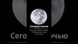 🤩🤩🤩 ВАУ 🤩🤩🤩