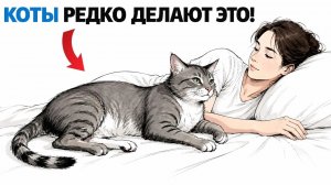 Почему Именно КОТ Спит Рядом — ЭТО ЗНАЧИТ МНОГОЕ!