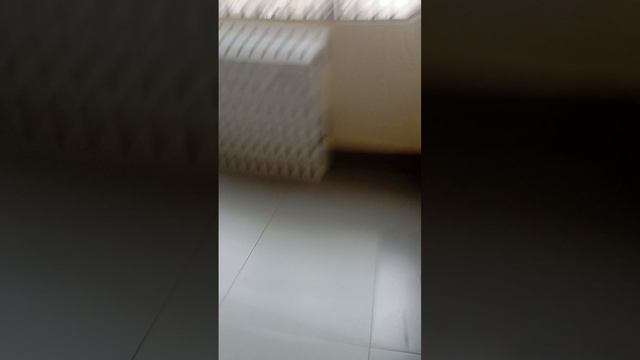 игра кальмара в школе