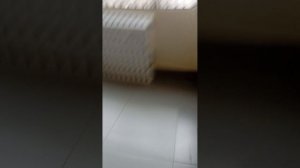 игра кальмара в школе