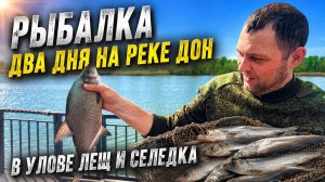 Рыбалка на леща и селедку!