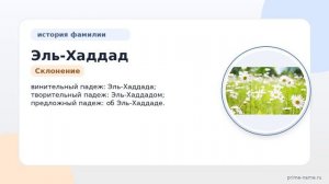 Изучаем происхождение, историю и значение фамилии Эль-Хаддад: правильное склонение и интересные