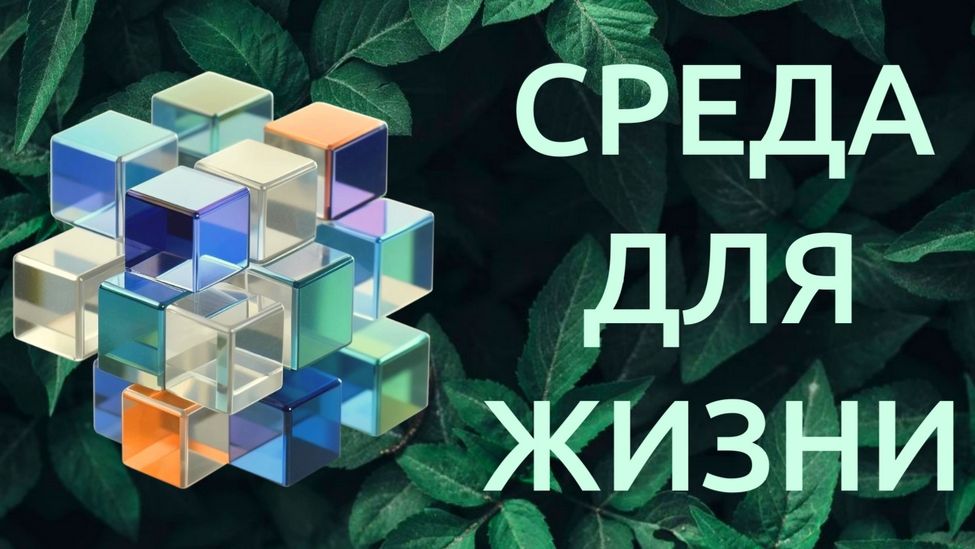 «Среда для жизни»
