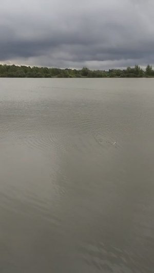 1000050513.mp4