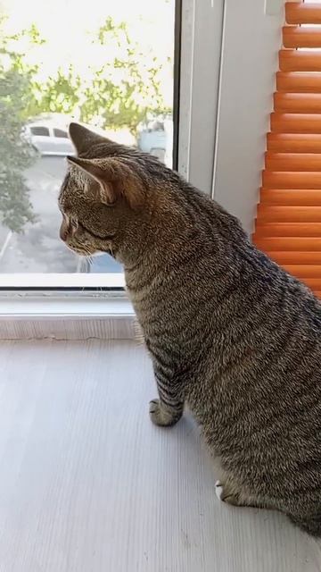 За окном тоже интересно