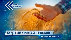 Каким будет урожай в этом году после погодных аномалий этого лета?