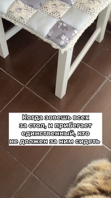 Самый ответственный получается