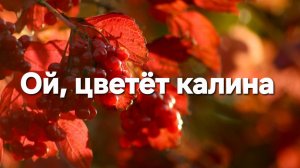 Ой, цветёт калина