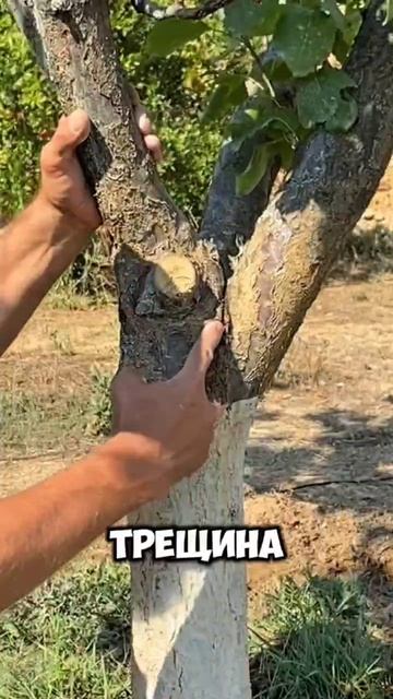 Ошибка формировки, которая ведет к серьезным последствиям.