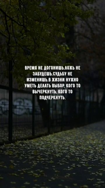 #1149 Цитата дня. Мотивация.