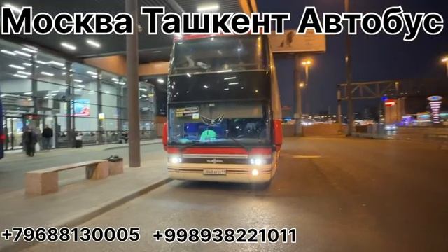 Moskva Tashkent Avtobus