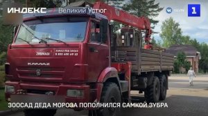 Зоосад Деда Мороза пополнился самкой зубра