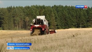 На площадках Научного центра Северо-Востока имени Рудницкого продолжается селекционная работа