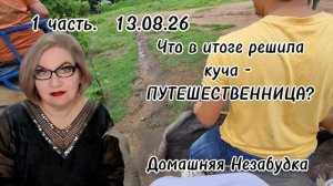 1 часть. Что в итоге решила куча - ПУТЕШЕСТВЕННИЦА❓️