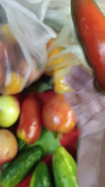 овощи с огорода моими руками, вот и осень почти