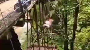 На Кубани 12-летний школьник сорвался в шестиметровое ущелье, его пришлось эвакуировать с помощью ал