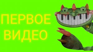 первое видео