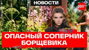 Конкурент борщевика наступает: чем опасен ясенец?