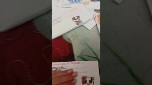обзор на паспорта и мед карты