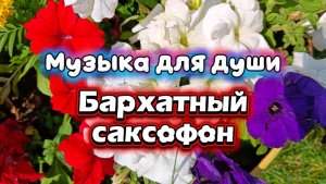 МУЗЫКА ДЛЯ ДУШИ. БАРХАТНЫЙ САКСОФОН