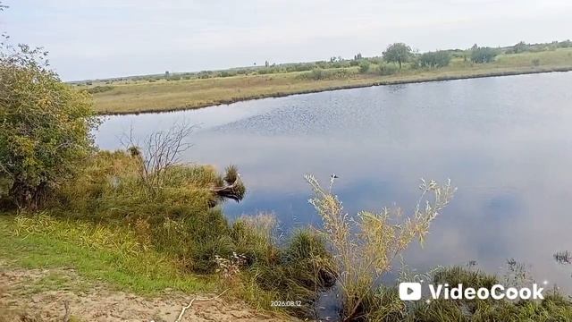 Якутск. Маленько покидал поплавковую удочку на протоке Лены и на озере. Собрал конский навоз опять