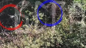☠️☠️☠️️Бои за Уланово: уничтожение живой силы противника