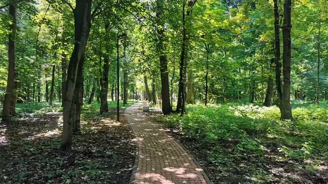 Релакс, музыка для прогулки по парку, музыка для отдыха и души