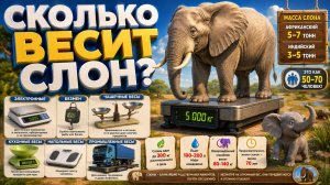 Сколько весит слон?  Естествознание, 2 класс