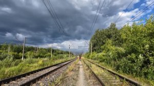 Лесное озеро 2026