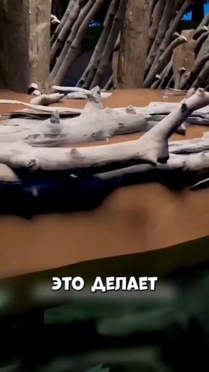 Плотины