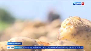 «Вести. Сахалин. Курилы». 11 августа 2026 года