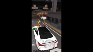 ПРОВОЖУ КОНТРАБАНДУ В SAN DIEGO BORDER ROLEPLAY 😏❗❗
